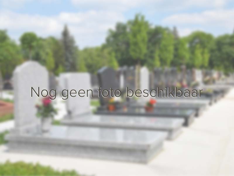 grafmonument Niebert Kerkhof Niebert