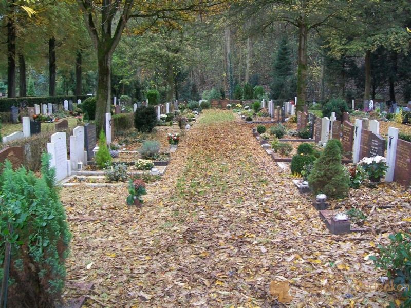 grafstenen Castricum Begraafplaats (onderlangs)