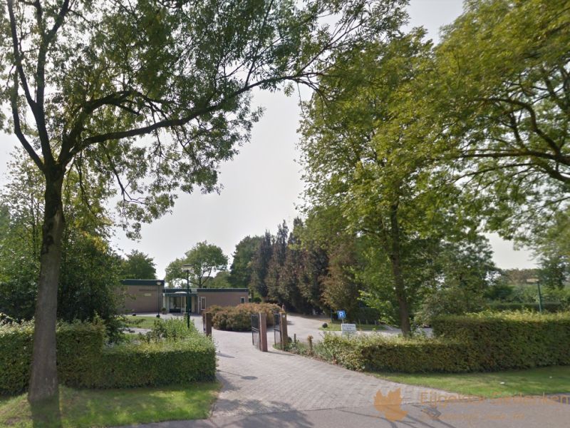 grafstenen Cothen Begraafplaats Groenewoud (gemeente Wijk bij Duurstede)