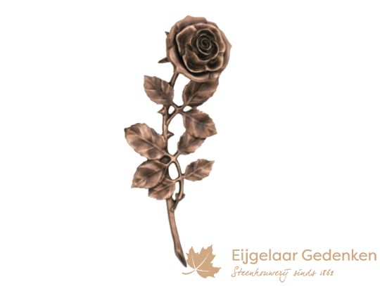 Bloemen - planten