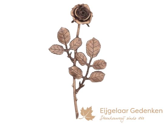 Bloemen - planten