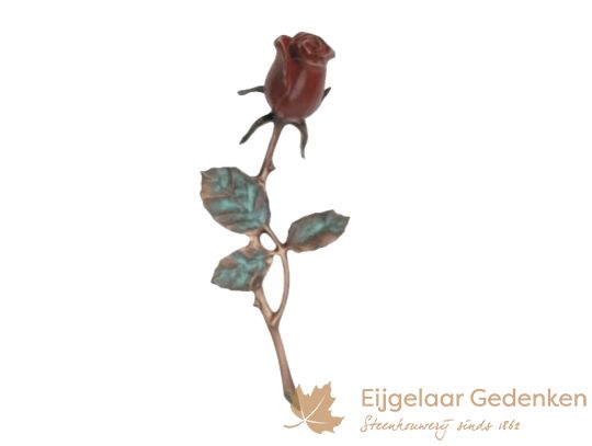 Bloemen - planten