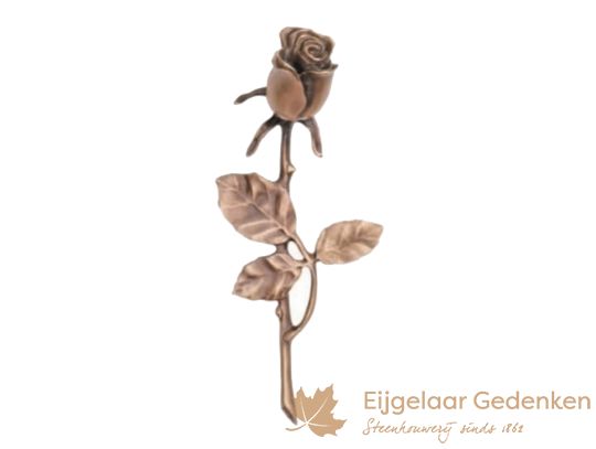 Bloemen - planten