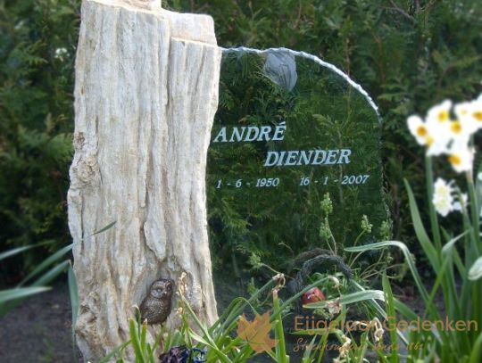 Glazen grafmonument AE50 met versteend hout