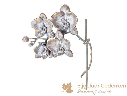 Grafdecoratie orchidee S85516