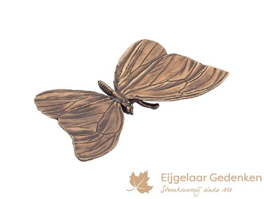 Grafornament van een bronzen vlinder F5748 