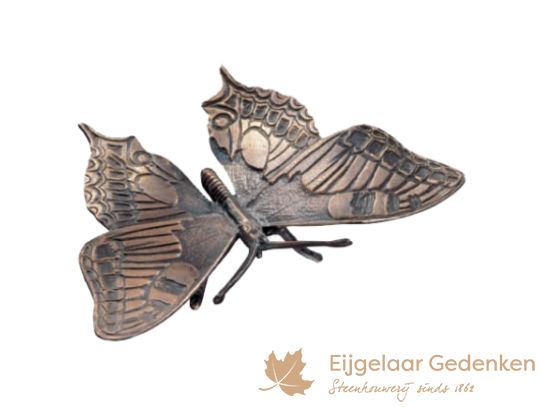 Grafornament van een bronzen vlinder F5997 