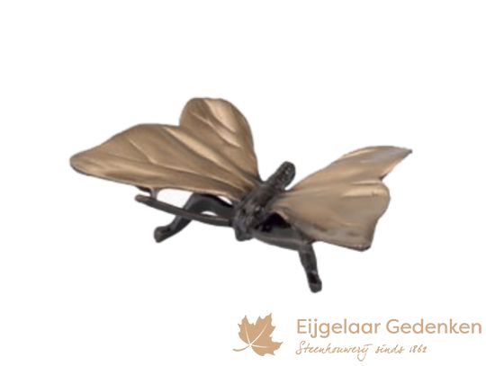 Grafornament van een bronzen vlinder F6035