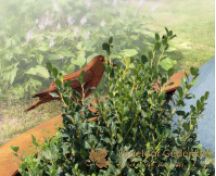 Cortenstaal grafmonument met vogels en bloem foto 4