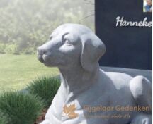 Familie grafsteen met beeld van een hond foto 4