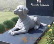 Familie grafsteen met beeld van een hond foto 3