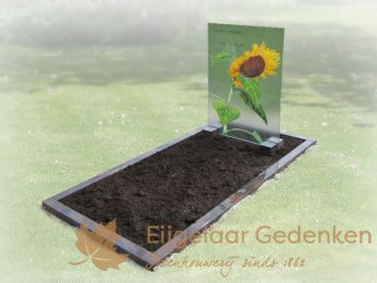 Glazen grafmonument AE47 met zonnebloem