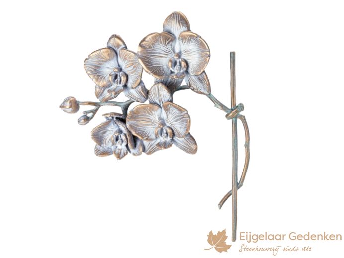 Grafdecoratie orchidee S85516 foto 1