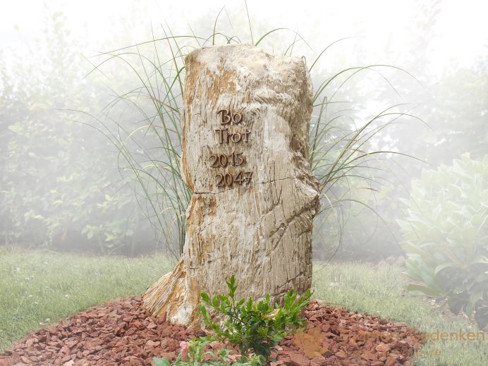 Versteend hout grafmonument