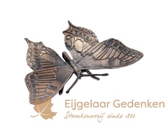 Grafornament van een bronzen vlinder F5997 