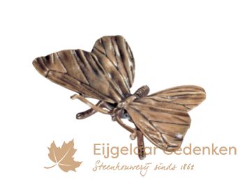 Grafornament van een bronzen vlinder F5998