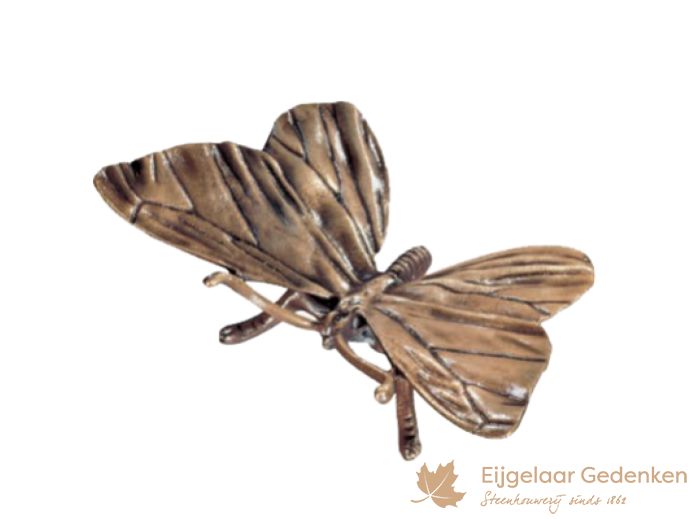 Grafornament van een bronzen vlinder F5998 foto 1