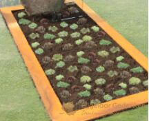 Grafsteen met versteend hout, glas en cortenstaal foto 3