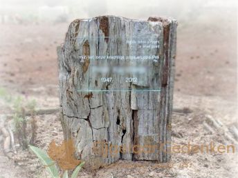 Grafsteen versteend hout 04 
