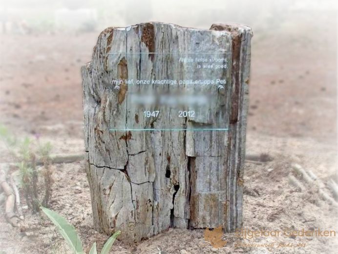 Grafsteen versteend hout 04&nbsp; foto 1