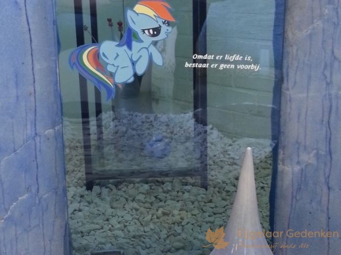 Kindergrafsteen glas my little pony 010 foto 1