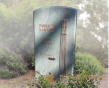 Kort grafmonument natuursteen foto 1