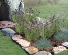 Natuurlijk grafmonument met flagstones en bronzen letters foto 3