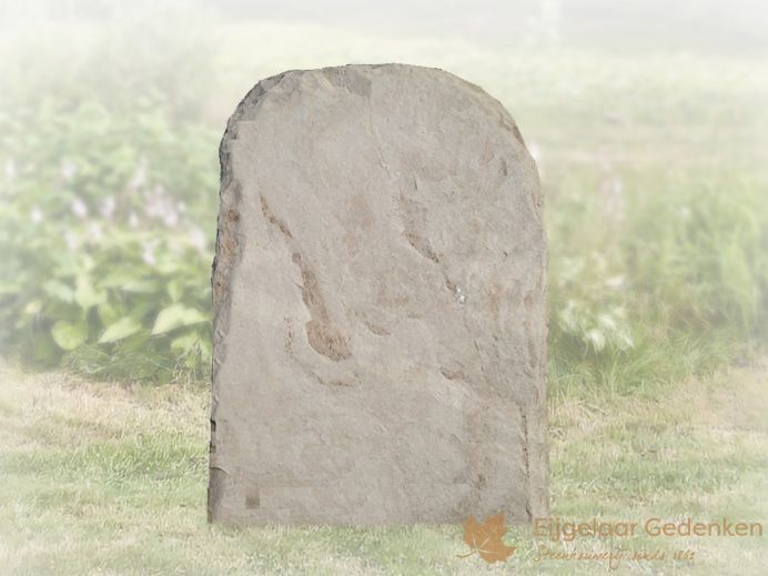 Ruwe grafsteen 16 | E092 van Palissander foto 1