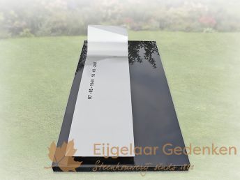 RVS grafmonument 17 | E165 met lange RVS plaat