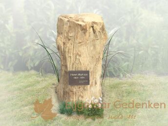 Versteend hout grafmonument