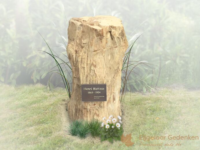 Versteend hout grafmonument foto 1